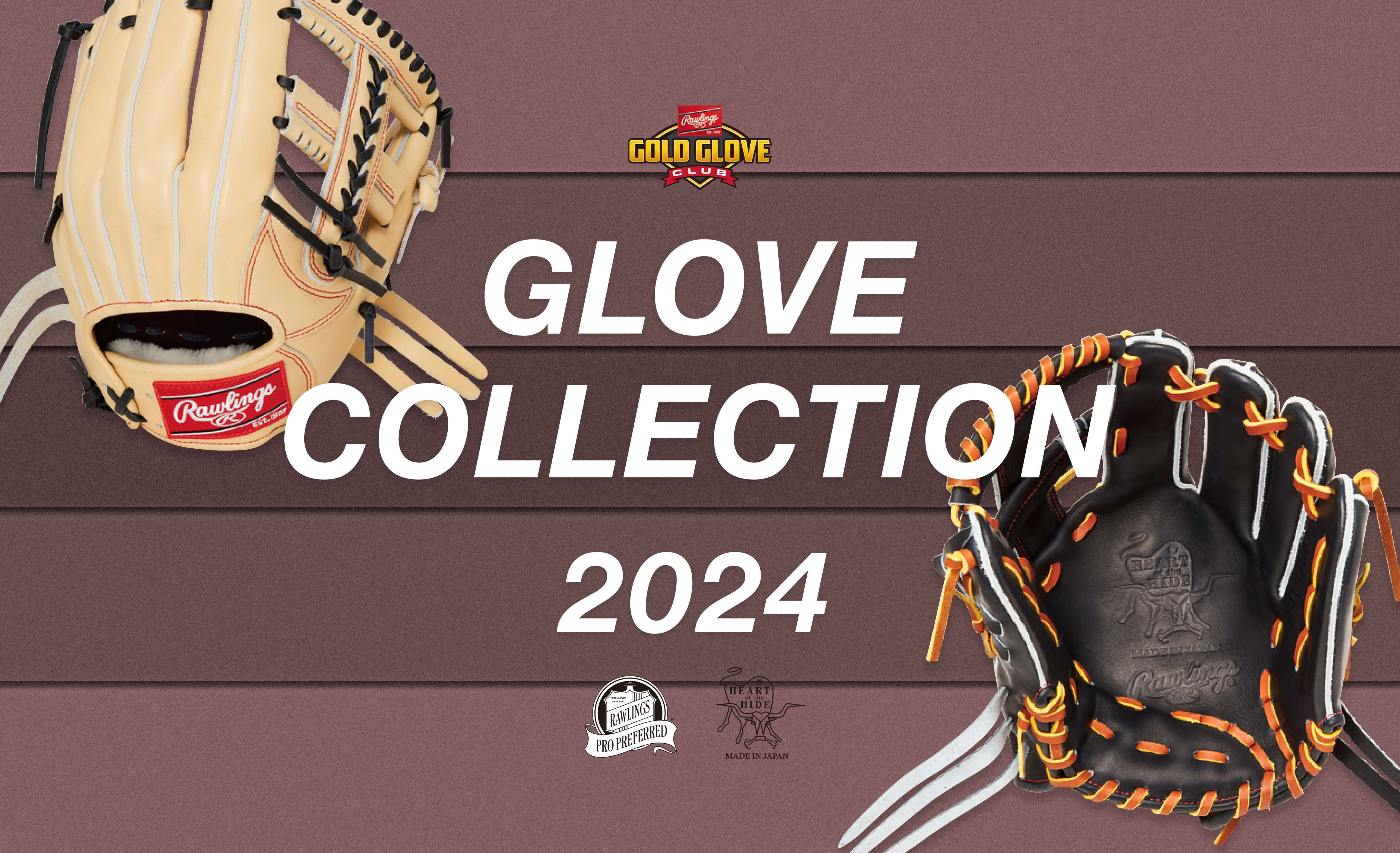 GLOVE COLLECTION 2024