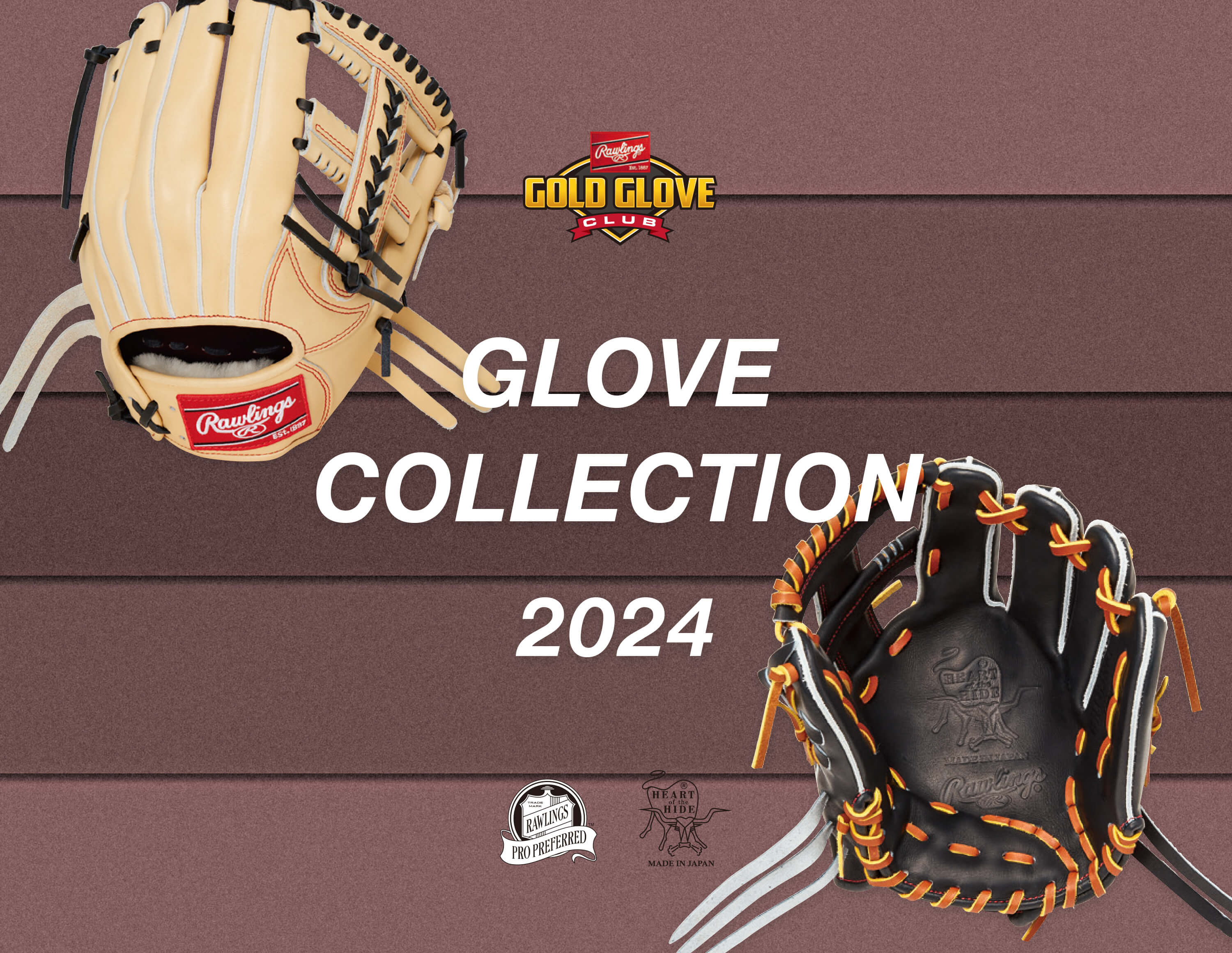 GLOVE COLLECTION 2024
